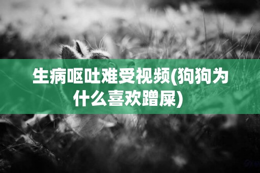 生病嘔吐難受視頻(狗狗為什么喜歡蹭屎) 