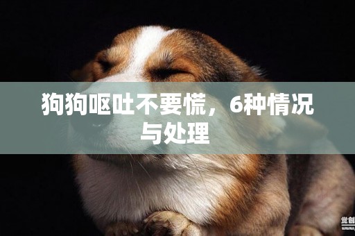 狗狗嘔吐不要慌，6種情況與處理 