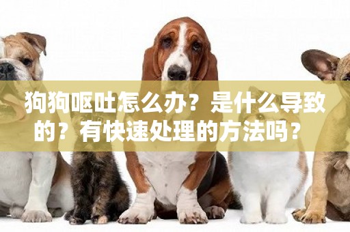 狗狗嘔吐怎么辦？是什么導致的？有快速處理的方法嗎？ 