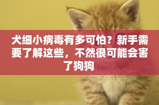 犬細小病毒有多可怕？新手需要了解這些，不然很可能會害了狗狗 