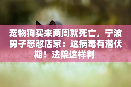 寵物狗買來兩周就死亡，寧波男子怒懟店家：這病毒有潛伏期！法院這樣判 