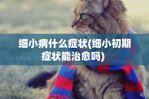 細小病什么癥狀(細小初期癥狀能治愈嗎) 