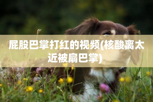 屁股巴掌打紅的視頻(核酸離太近被扇巴掌) 