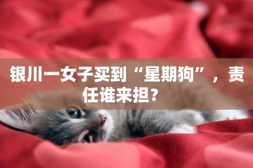 銀川一女子買到“星期狗”，責任誰來擔？ 