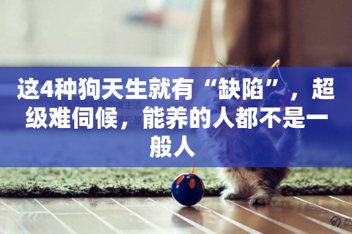 這4種狗天生就有“缺陷”，超級難伺候，能養的人都不是一般人 