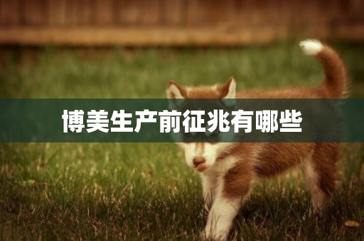 博美生產前征兆有哪些