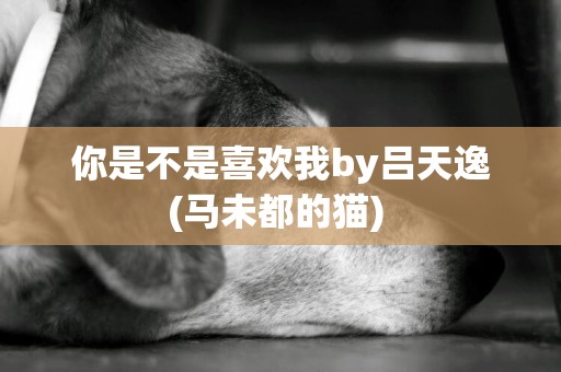你是不是喜歡我by呂天逸(馬未都的貓) 