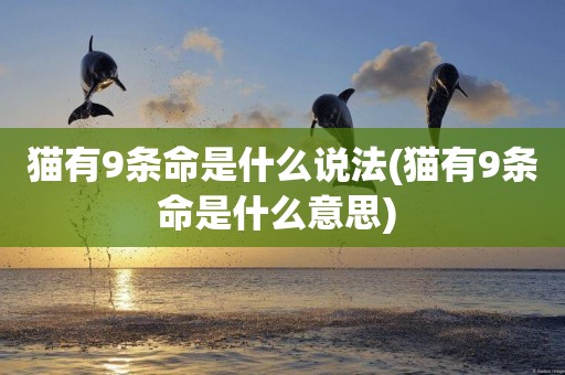 貓有9條命是什么說法(貓有9條命是什么意思) 