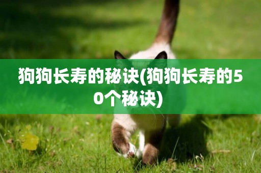狗狗長壽的秘訣(狗狗長壽的50個秘訣) 