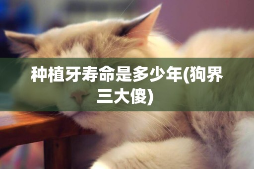 種植牙壽命是多少年(狗界三大傻) 