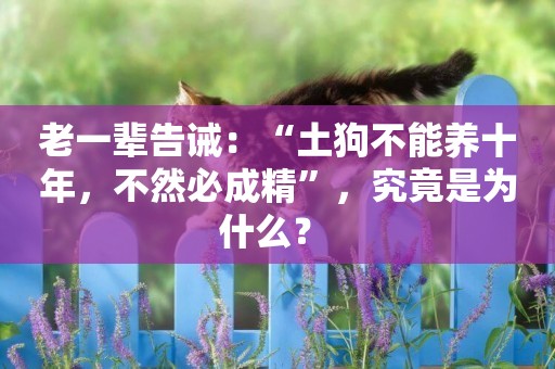老一輩告誡：“土狗不能養十年，不然必成精”，究竟是為什么？ 