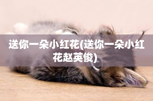 送你一朵小紅花(送你一朵小紅花趙英俊) 
