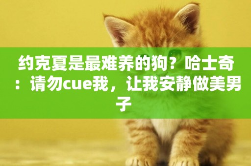 約克夏是最難養的狗？哈士奇：請勿cue我，讓我安靜做美男子 