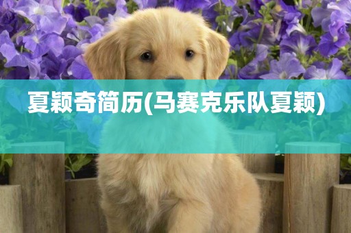 夏穎奇簡歷(馬賽克樂隊夏穎) 