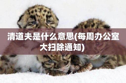 清道夫是什么意思(每周辦公室大掃除通知) 