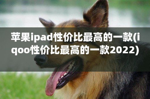 蘋果ipad性價比最高的一款(iqoo性價比最高的一款2022) 