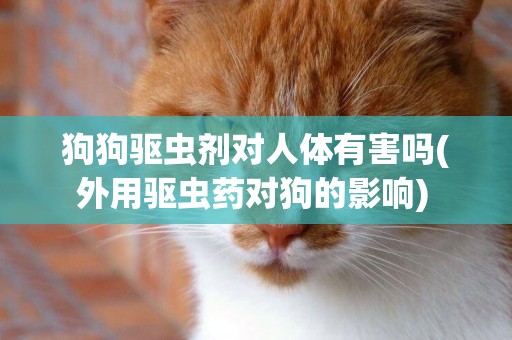 狗狗驅蟲劑對人體有害嗎(外用驅蟲藥對狗的影響) 