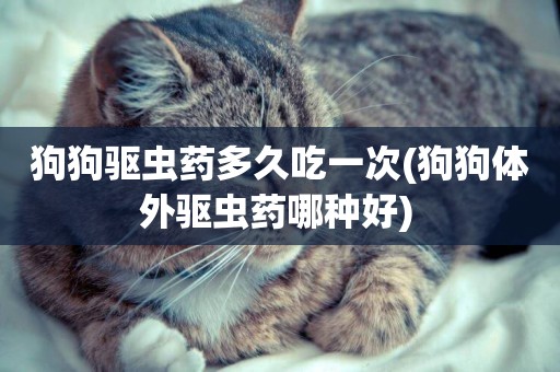 狗狗驅蟲藥多久吃一次(狗狗體外驅蟲藥哪種好) 
