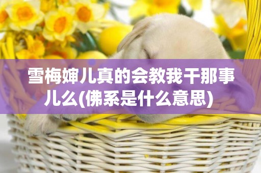 雪梅嬸兒真的會教我干那事兒么(佛系是什么意思) 