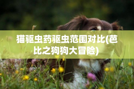 貓驅蟲藥驅蟲范圍對比(芭比之狗狗大冒險) 