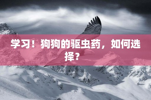 學習！狗狗的驅蟲藥，如何選擇？ 