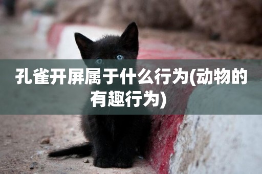 孔雀開屏屬于什么行為(動物的有趣行為) 