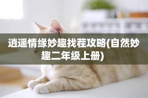 逍遙情緣妙趣找茬攻略(自然妙趣二年級上冊) 