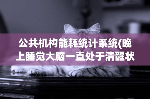 公共機構能耗統計系統(晚上睡覺大腦一直處于清醒狀態) 