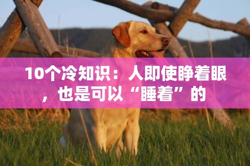 10個冷知識：人即使睜著眼，也是可以“睡著”的 