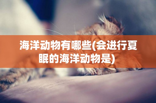 海洋動物有哪些(會進行夏眠的海洋動物是) 