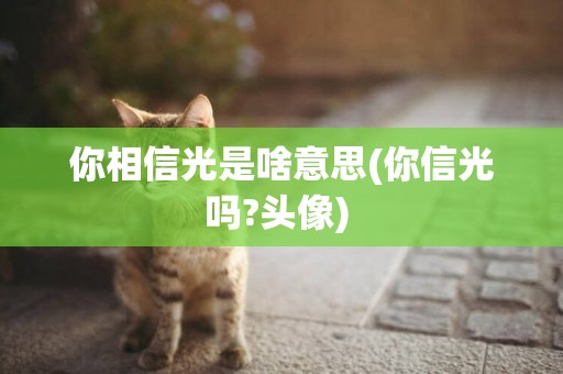 你相信光是啥意思(你信光嗎?頭像) 