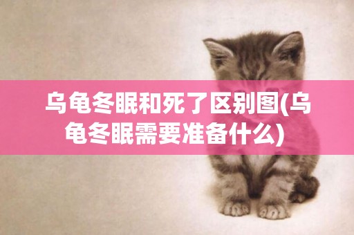 烏龜冬眠和死了區別圖(烏龜冬眠需要準備什么) 