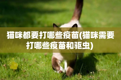 貓咪都要打哪些疫苗(貓咪需要打哪些疫苗和驅蟲) 