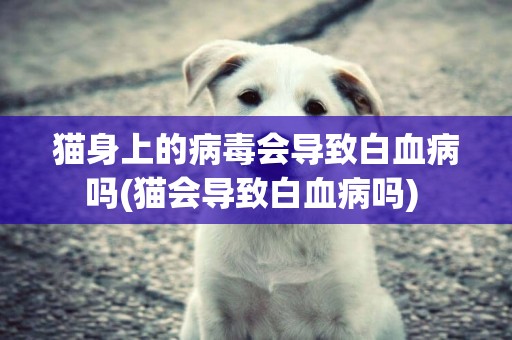 貓身上的病毒會導致白血病嗎(貓會導致白血病嗎) 