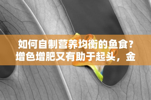 如何自制營養均衡的魚食？增色增肥又有助于起頭，金魚也愛吃 