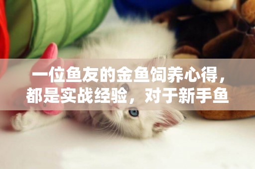 一位魚友的金魚飼養心得，都是實戰經驗，對于新手魚友幫助很大 