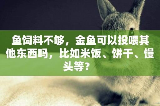 魚飼料不夠，金魚可以投喂其他東西嗎，比如米飯、餅干、饅頭等？ 