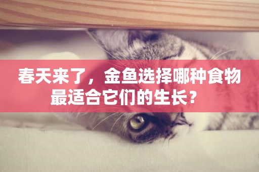 春天來了，金魚選擇哪種食物最適合它們的生長？ 