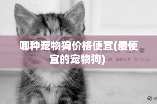 哪種寵物狗價格便宜(最便宜的寵物狗) 
