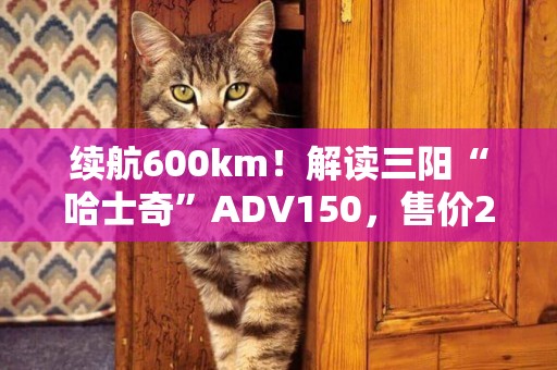 續航600km！解讀三陽“哈士奇”ADV150，售價2.38萬，值得買嗎？ 