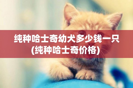 純種哈士奇幼犬多少錢一只(純種哈士奇價格) 