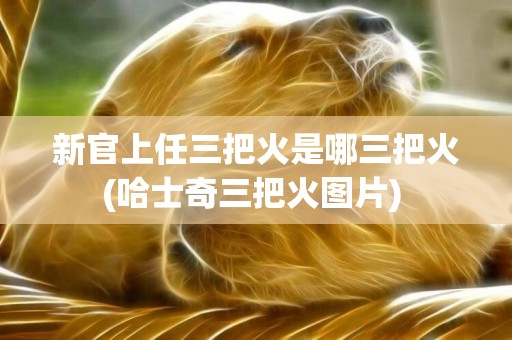新官上任三把火是哪三把火(哈士奇三把火圖片) 