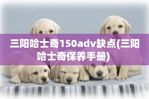 三陽哈士奇150adv缺點(三陽哈士奇保養手冊) 