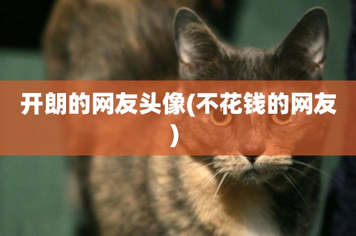開朗的網友頭像(不花錢的網友) 
