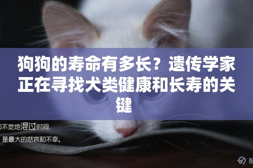 狗狗的壽命有多長？遺傳學家正在尋找犬類健康和長壽的關鍵 