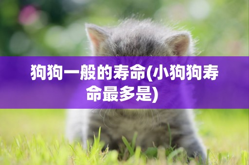 狗狗一般的壽命(小狗狗壽命最多是) 