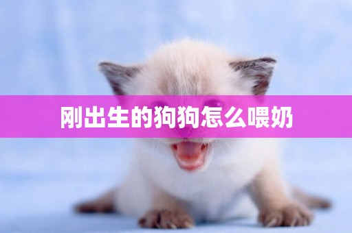 剛出生的狗狗怎么喂奶