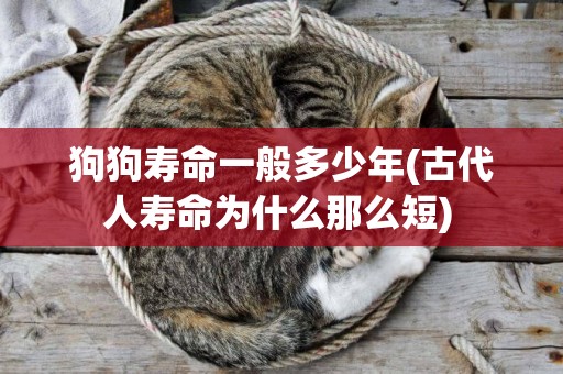 狗狗壽命一般多少年(古代人壽命為什么那么短) 