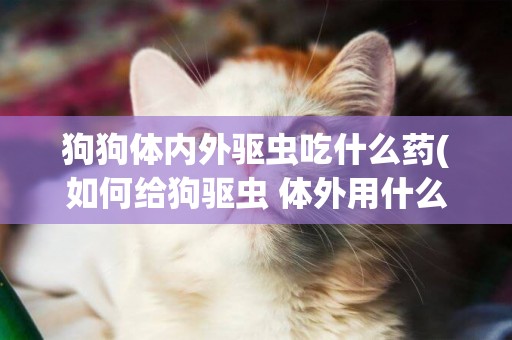 狗狗體內外驅蟲吃什么藥(如何給狗驅蟲 體外用什么藥) 