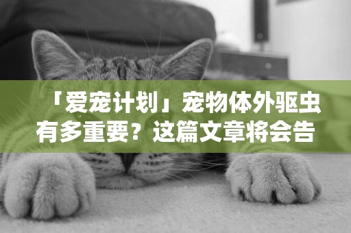 「愛寵計劃」寵物體外驅蟲有多重要？這篇文章將會告訴你答案！ 
